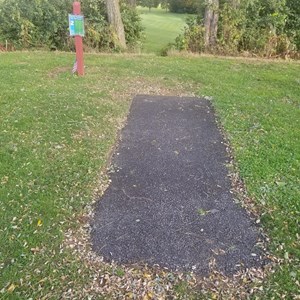 Tee 2 Scaled