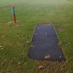 Tee 3 Scaled