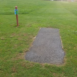 Tee 5 Scaled