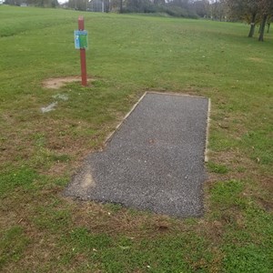 Tee 7 Scaled