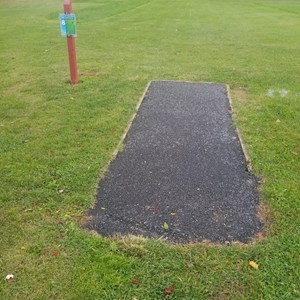 Tee 8 Scaled